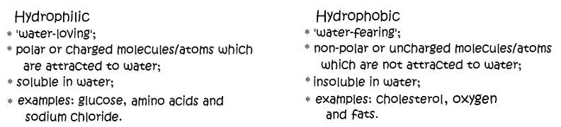 examples of hydrophobic amino acids